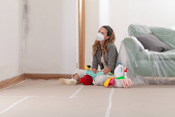 Reliable Mold Testing contractor in Boyne Falls, MI by WQB Mold Removal