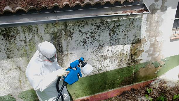 Top rated local Mold Testing specialists in Boyne Falls, MI